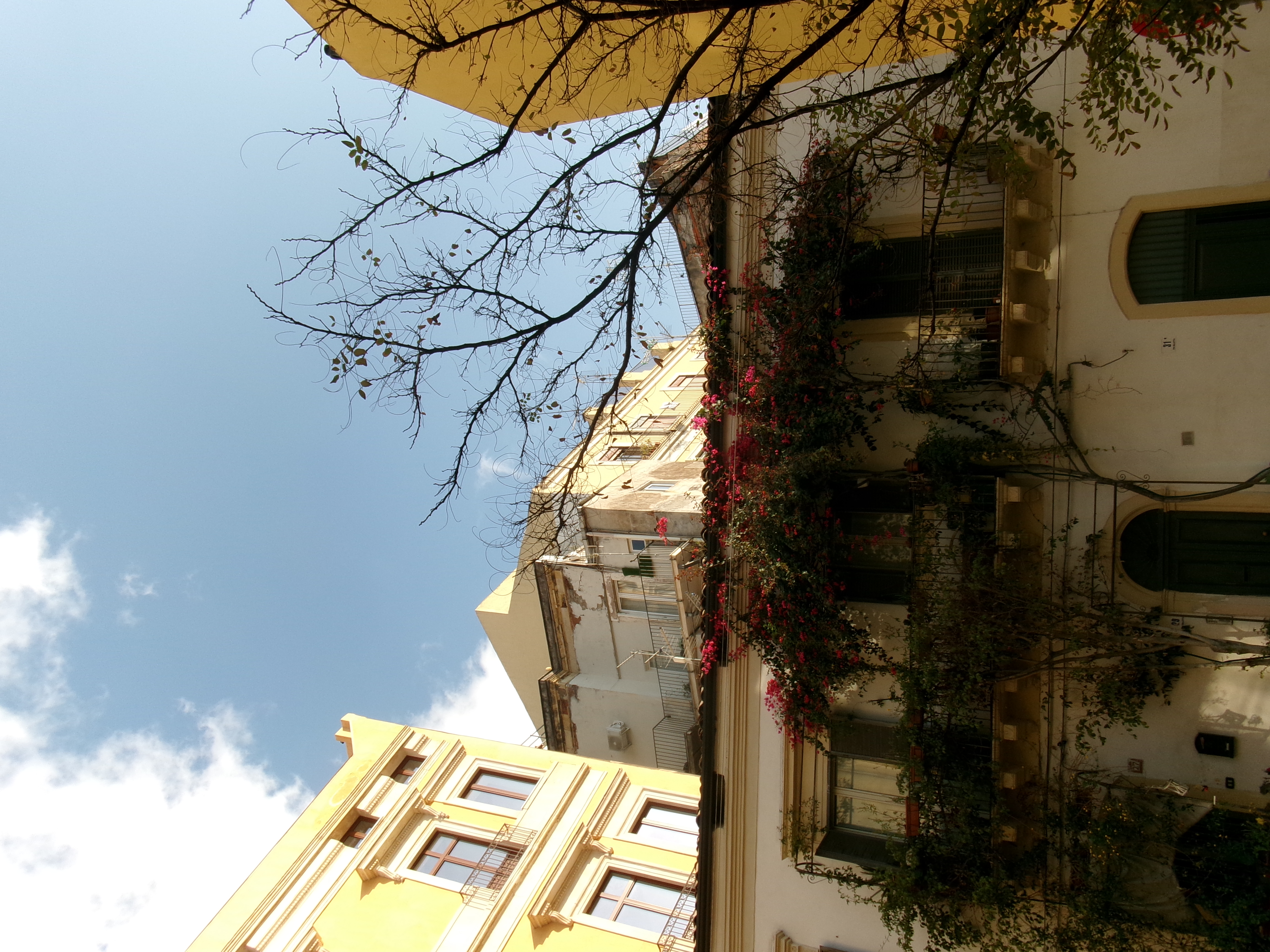 Vertical 1